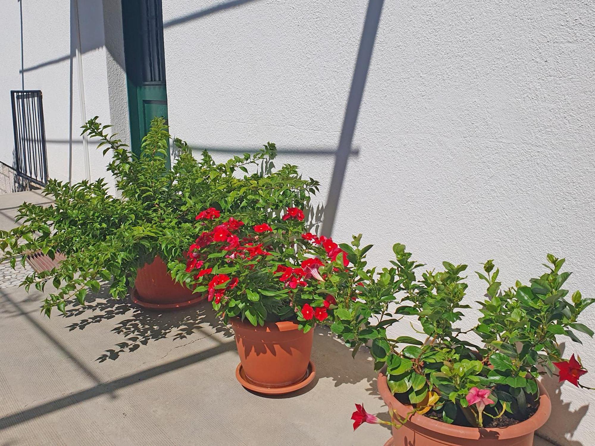 Apartman Gordana Hvar Town